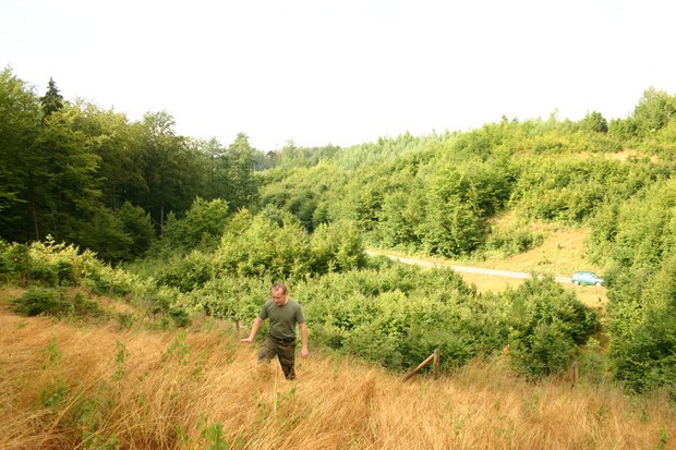 Czy trzeba już wykaszać trawy? (Foto. J. Kuczyńska) Czy trzeba już wykaszać trawy? (Foto. J. Kuczyńska)