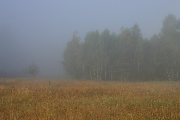 Sierpniowy poranek (Foto. J. Kuczyńska) Sierpniowy poranek (Foto. J. Kuczyńska)