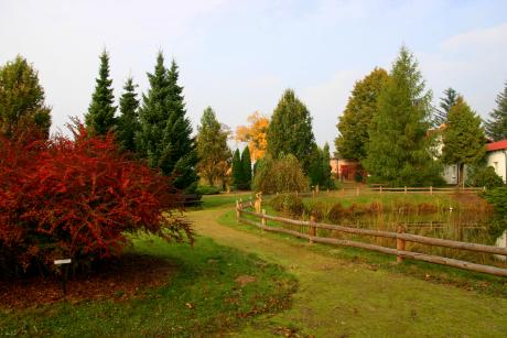 Arboretum Nadleśnictwa Strzebielino